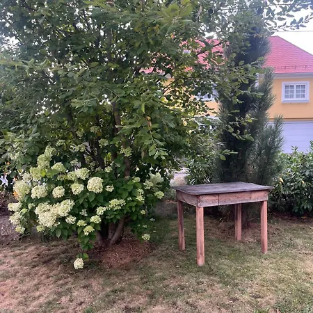 Storchenblick *