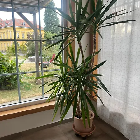 Storchenblick Apartment Bad Leonfelden